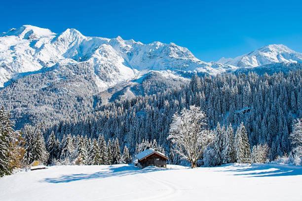 Happy Moose - Cosy Mont Blanc View Apartment シャモニー エクステリア 写真